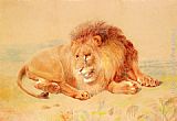 William Huggins Lion painting